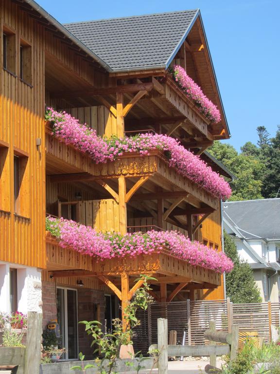 Les Gites D'Adelspach Gites & Spa En Alsace Aubure Bagian luar foto